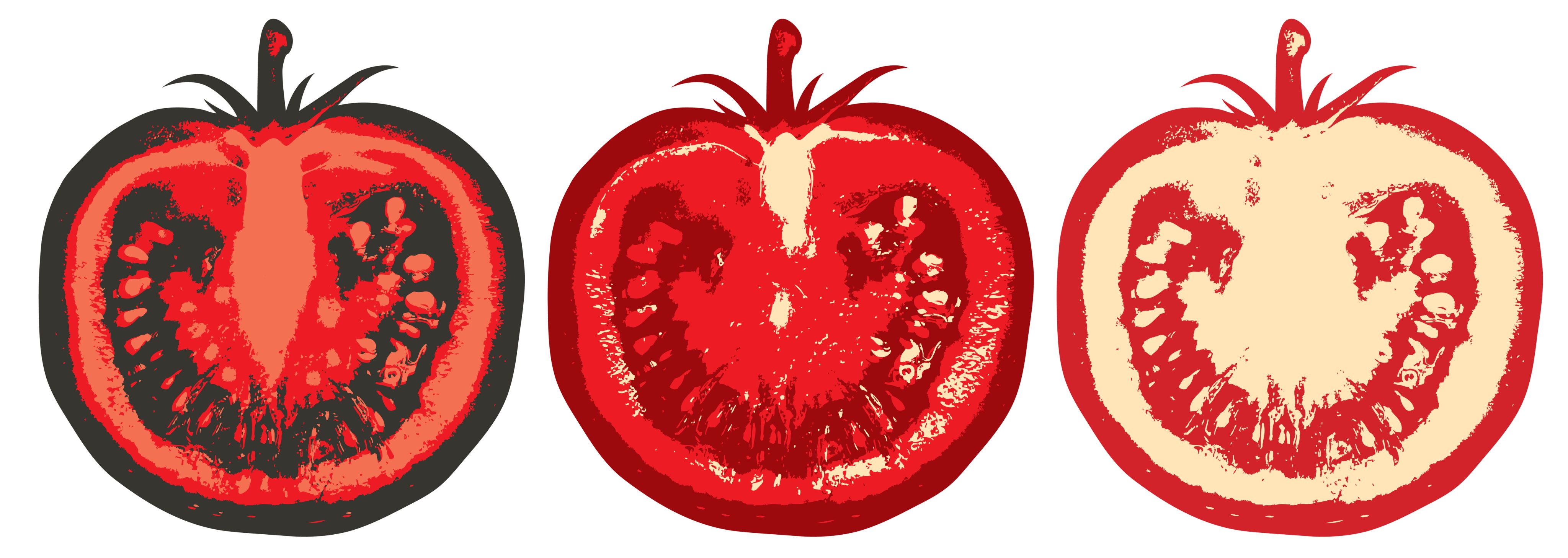 Vector drawings of tomato halves