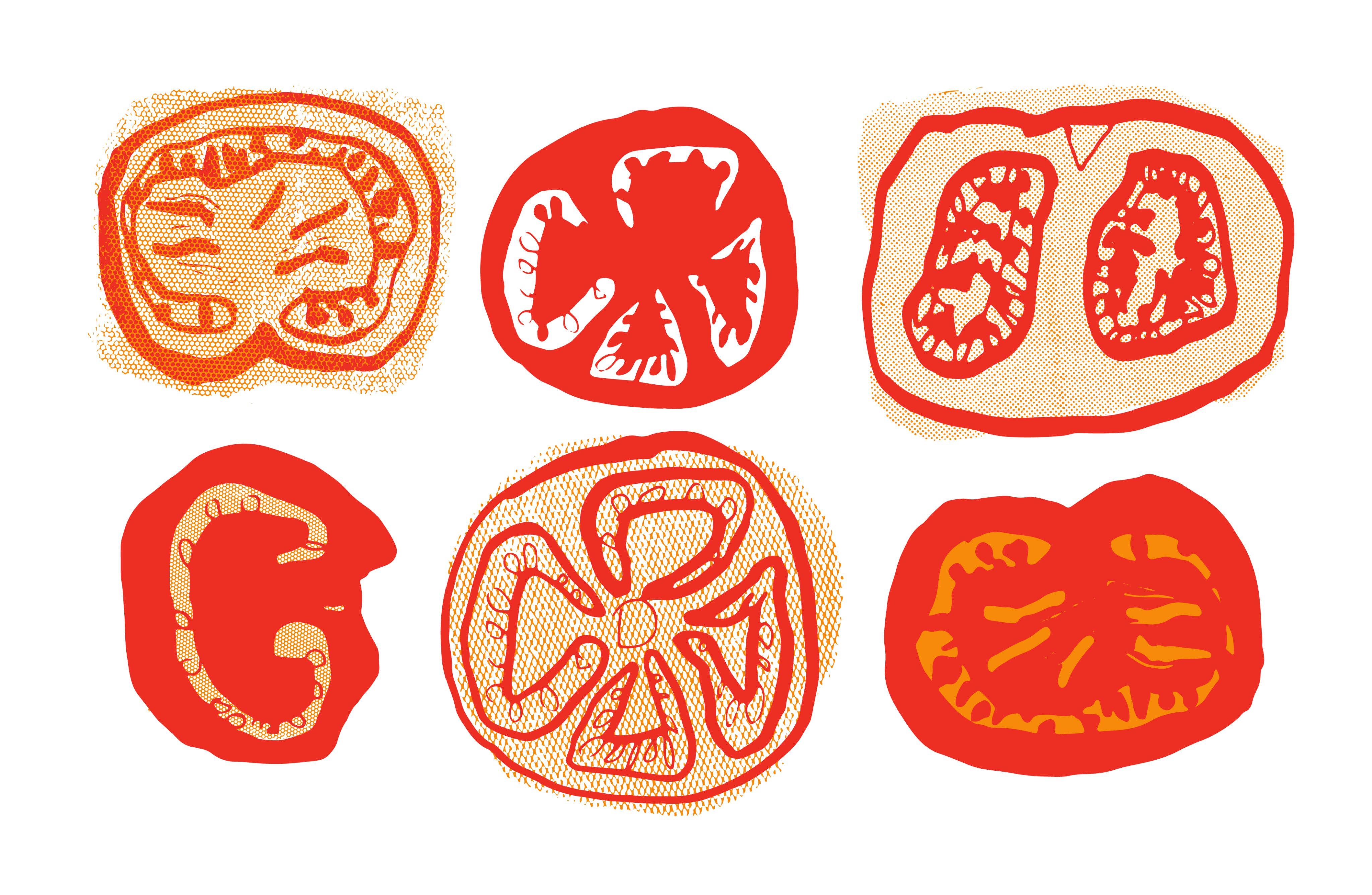 Collage of illustrated, abstract tomato slices