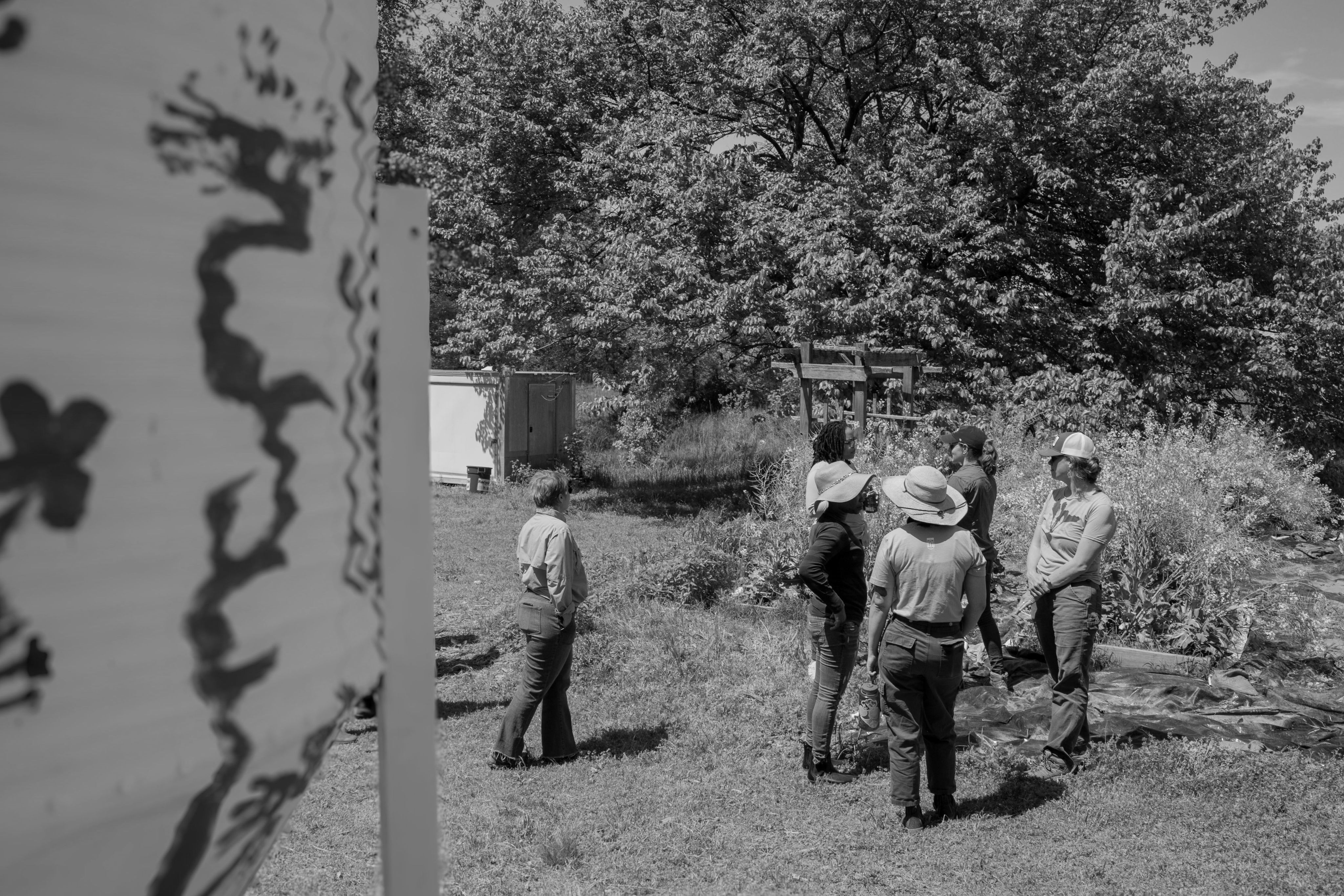 Six individuals stand beside a bed of flowering collards, with a painted metal silo in the foreground and leafy trees behind them.