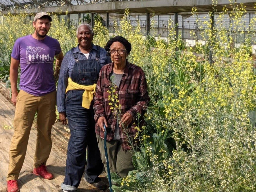Three individuals standing amid tall collard green flowers, smiling at the camera.