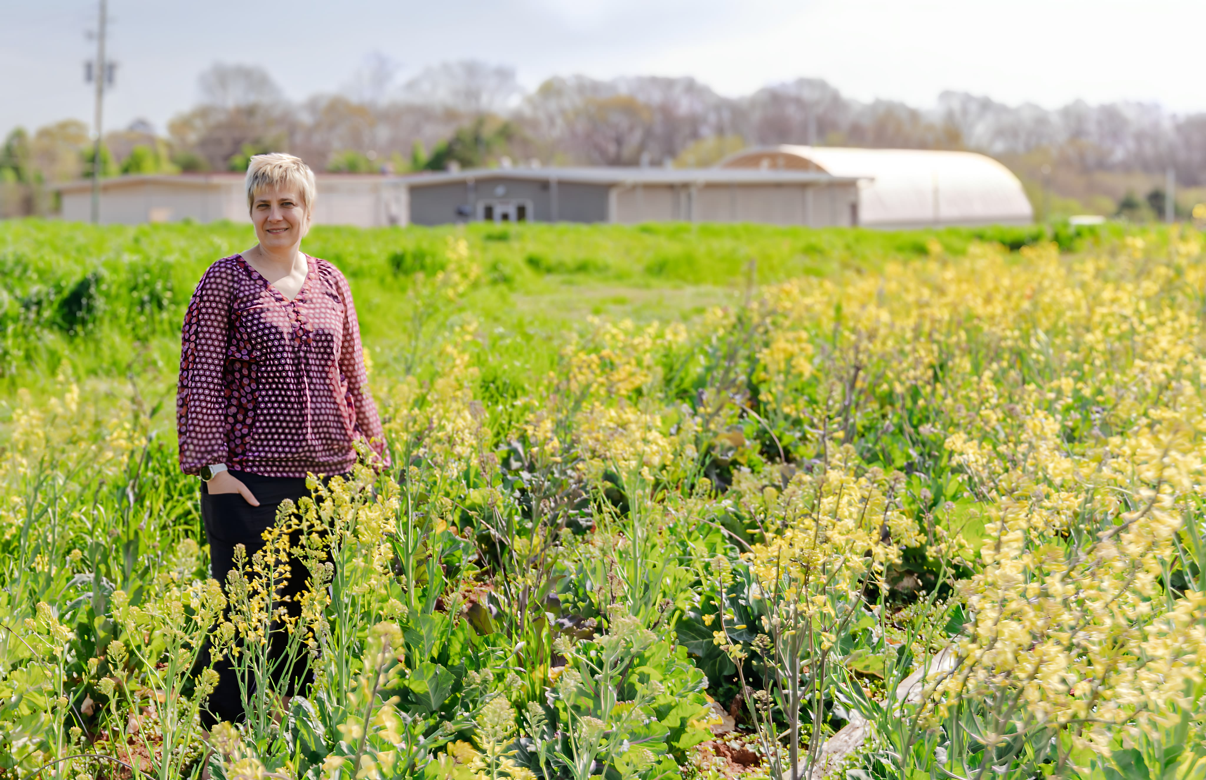 Jenn Jo Thompson standing in a field of yellow-flowering collard greens, with a greenhouse visible in the background.