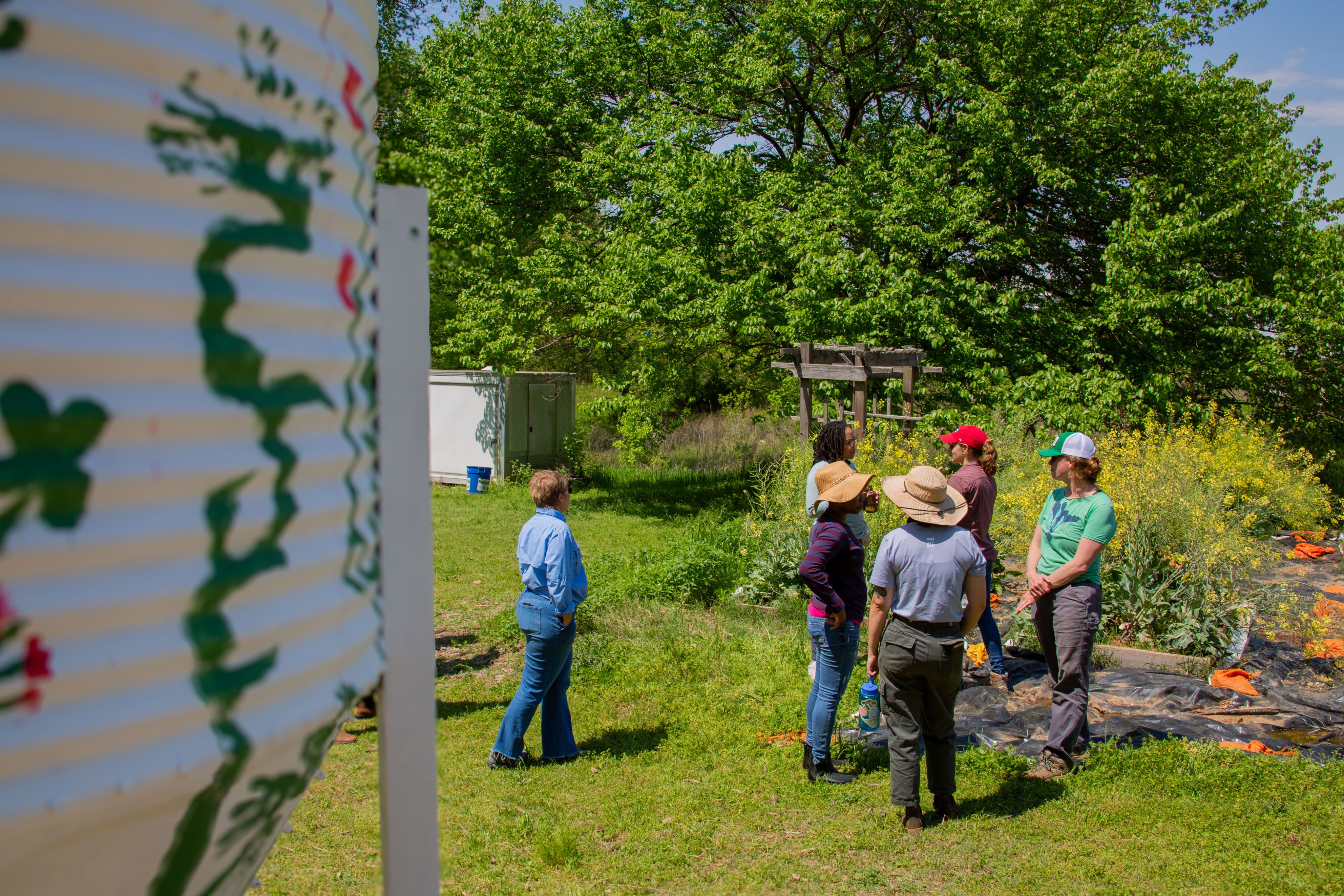 Six individuals stand beside a bed of flowering collards, with a painted metal silo in the foreground and leafy trees behind them.