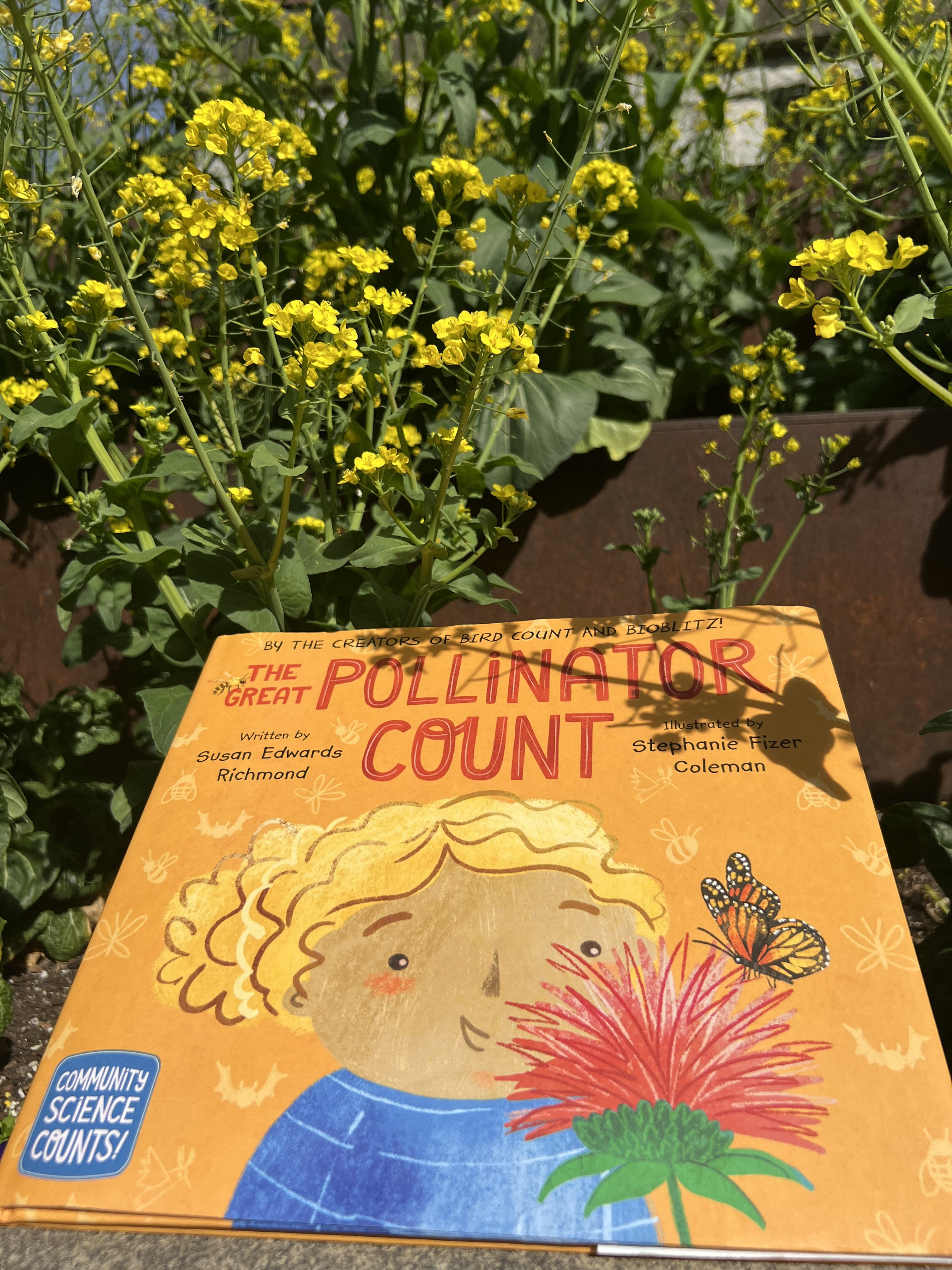 The Great Pollinator Count children's book is propped up against blooming vegetables with yellow florets. The book cover is orange with an illustration of a child, a flower and a monarch 
