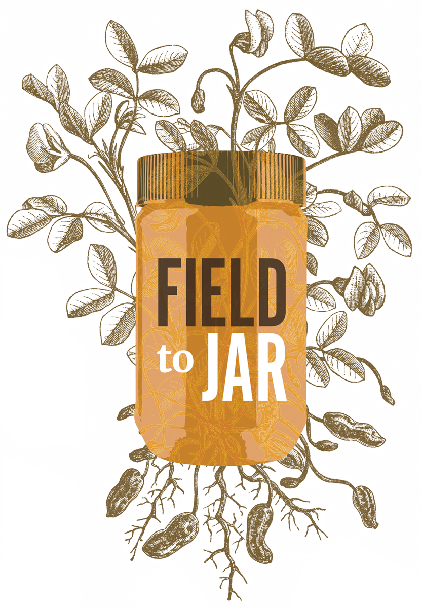 An illustration of a peanut butter jar on top of a peanut plant, with the words "Field to Jar" overlaid on top.