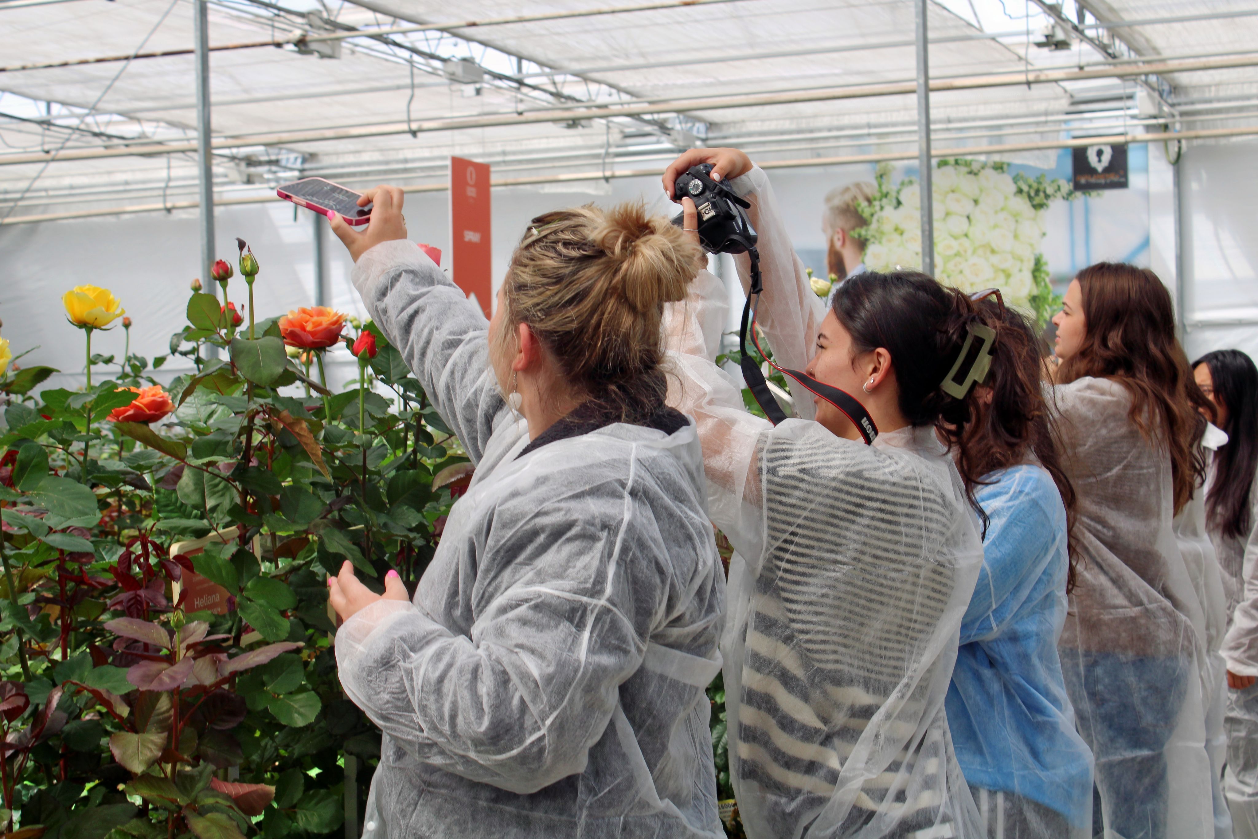 Students wear PPE and take photos of flowers in a greenhouse