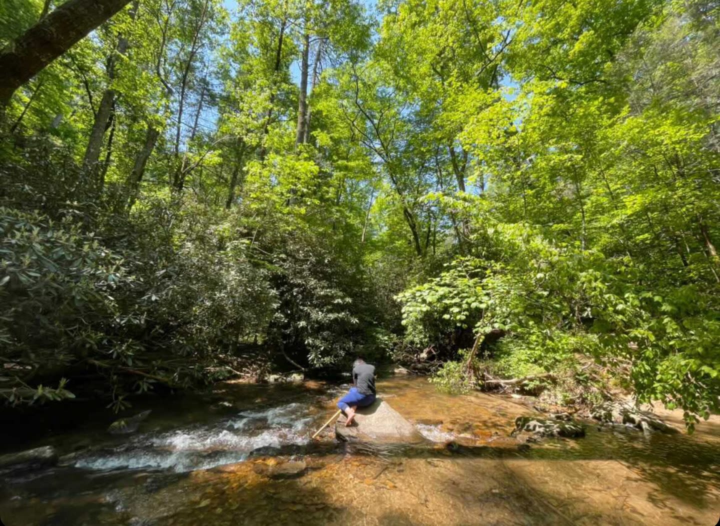 Gabriela Cardona-Rivera looks for aquatic insects and Brood X cicadas at Sea Creek Falls in Blue Ridge, Georgia.