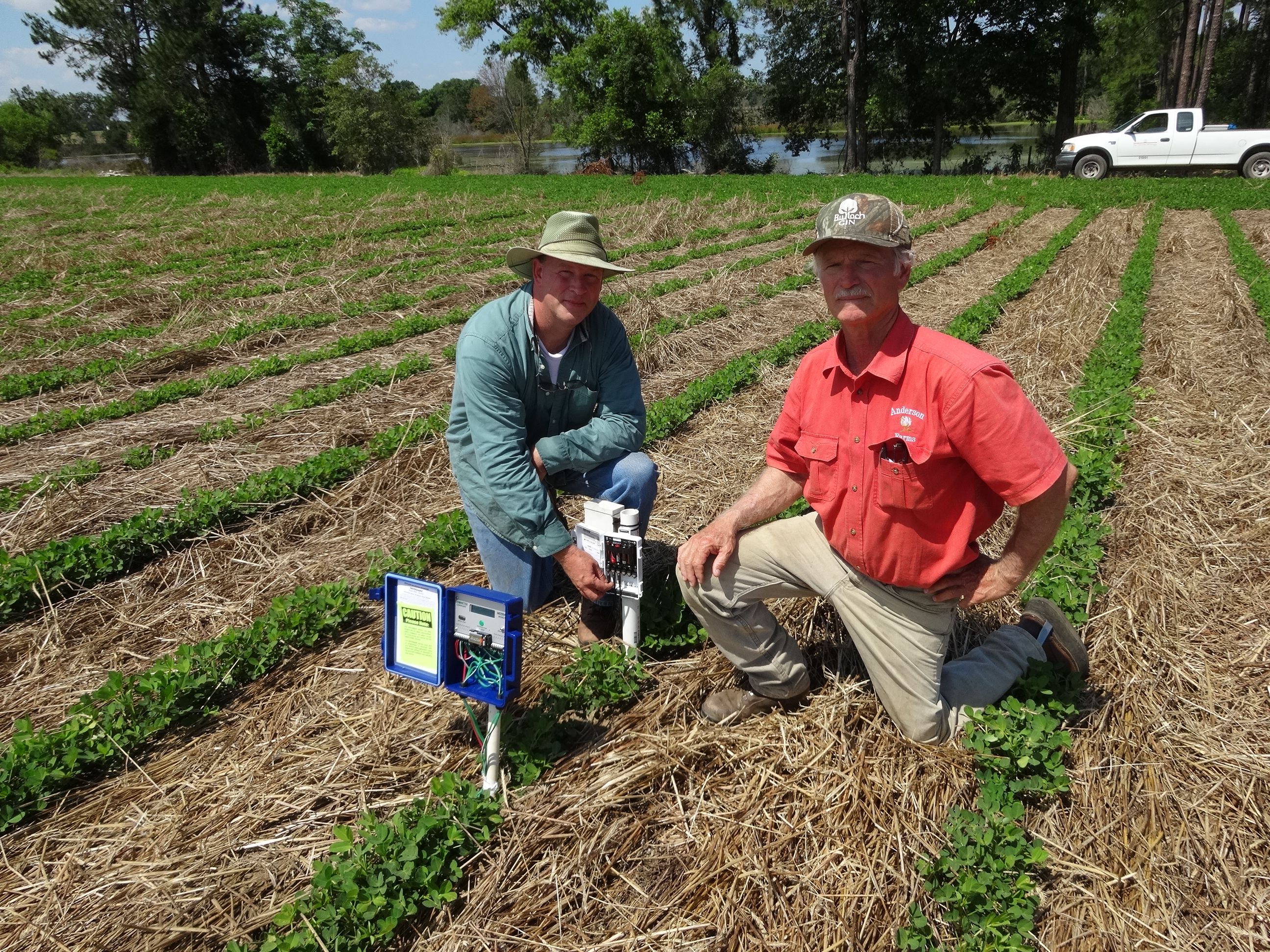 Hawkins and a local Georgia grower look up from where they are installing a soil moisture sensor station in crop rows.