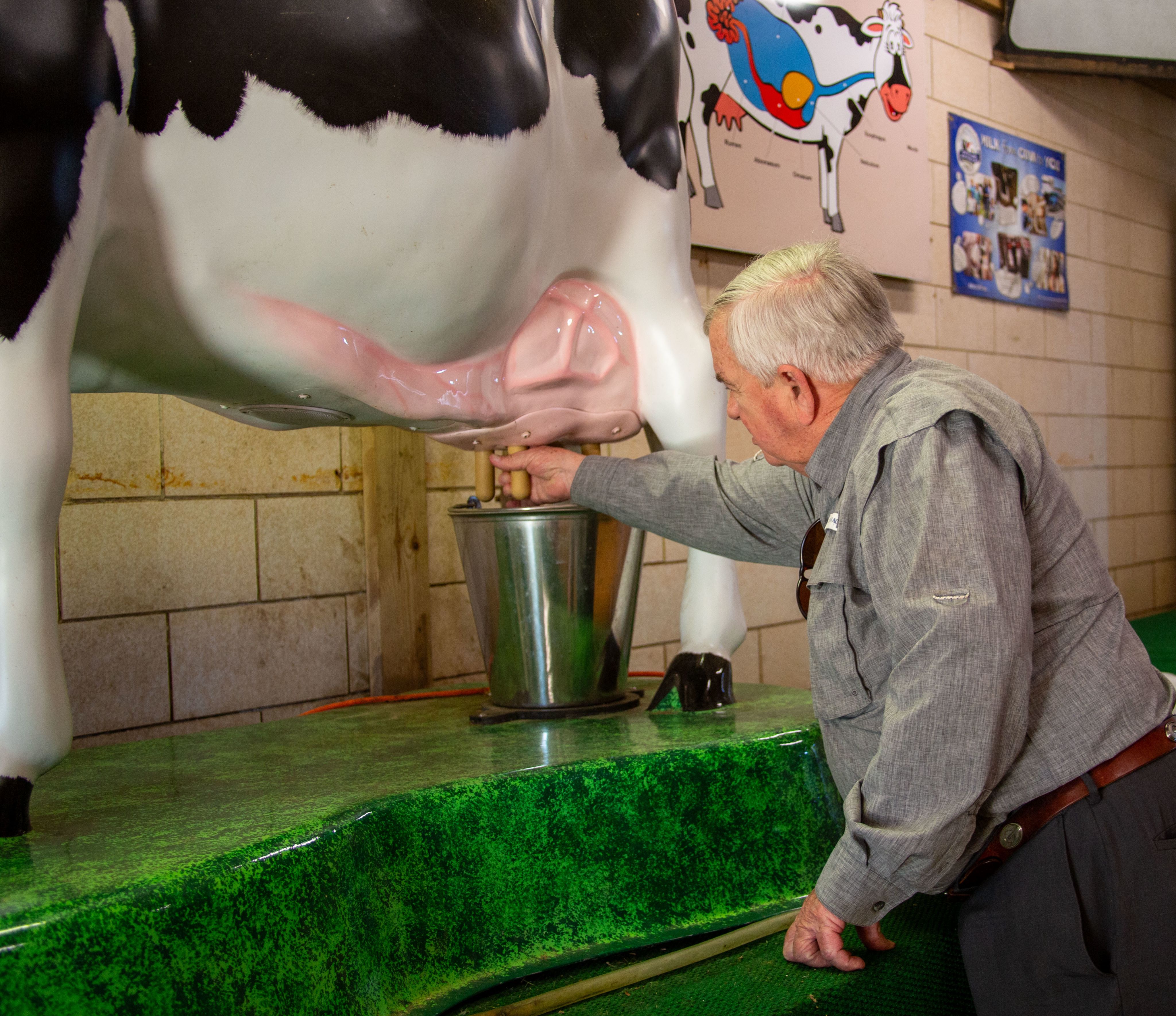 Jimmy Carter Jr. demonstrates the way cows are milked on a model milking cow. These demonstrations are shown during children's educational field trips.