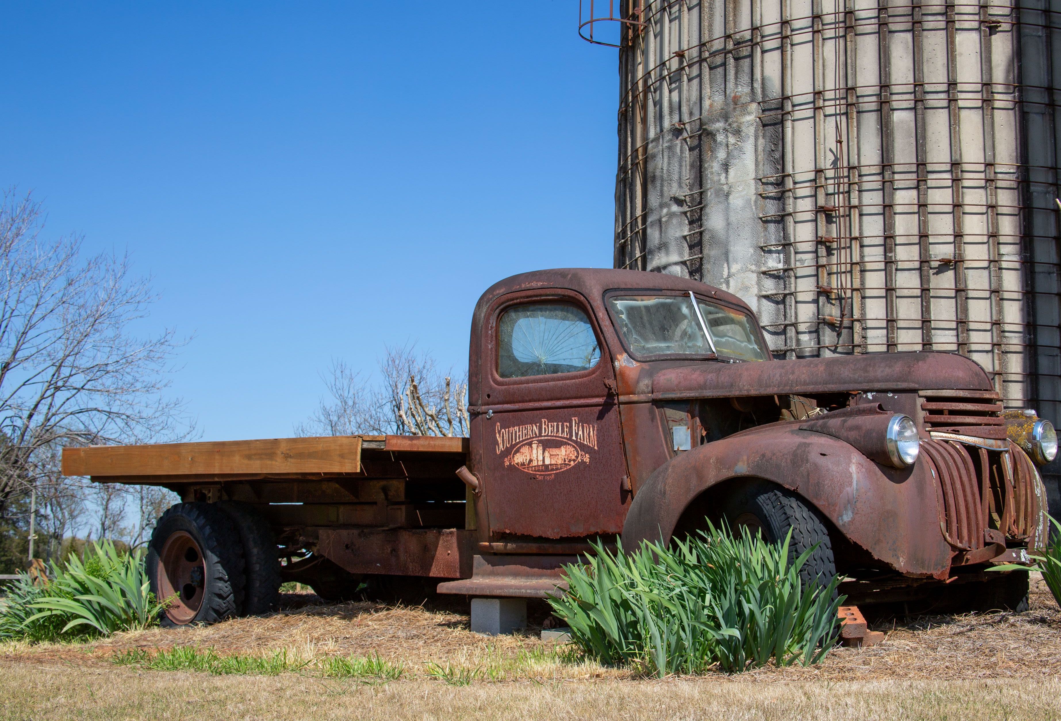 An antique rusted truck featuring the Southern Belle Farm logo in front of an antique silo.
