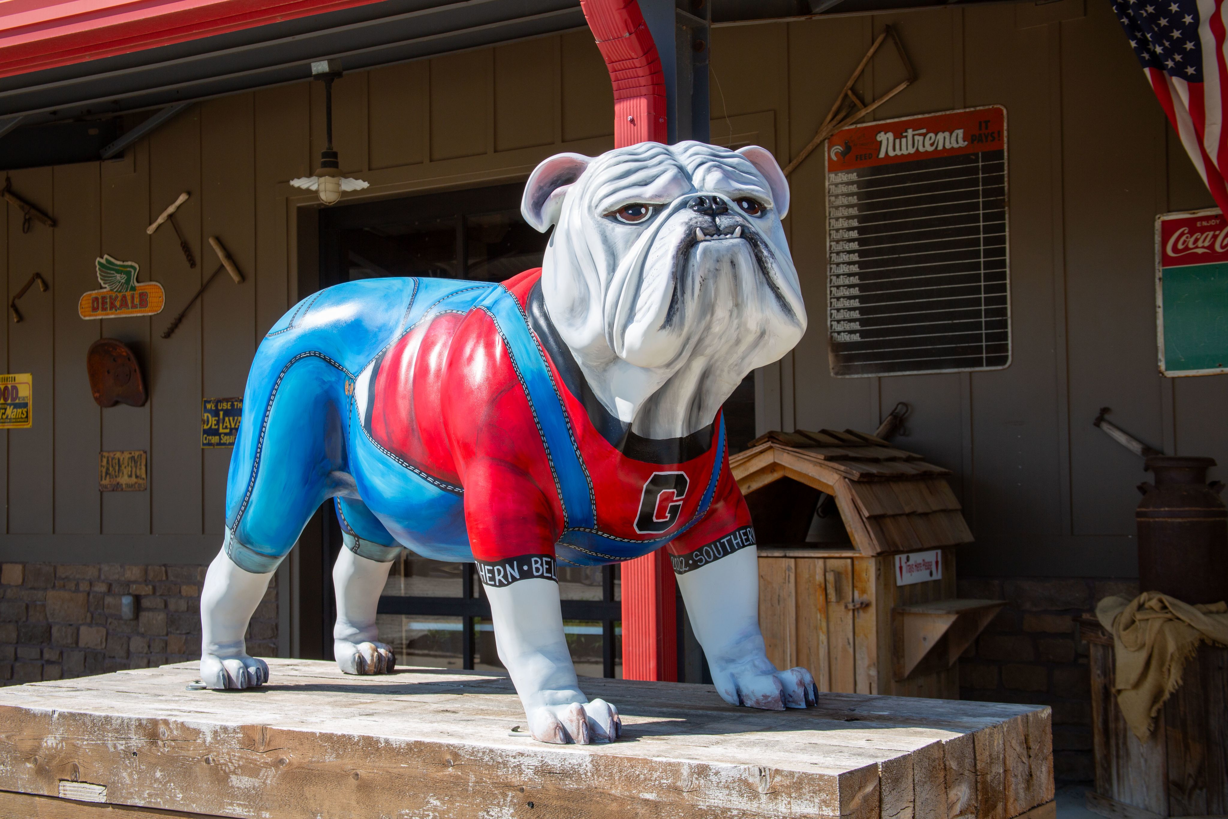 a statue of a painted bulldog in denim overalls and a UGA jersey outside of the market at Southern Belle farms.