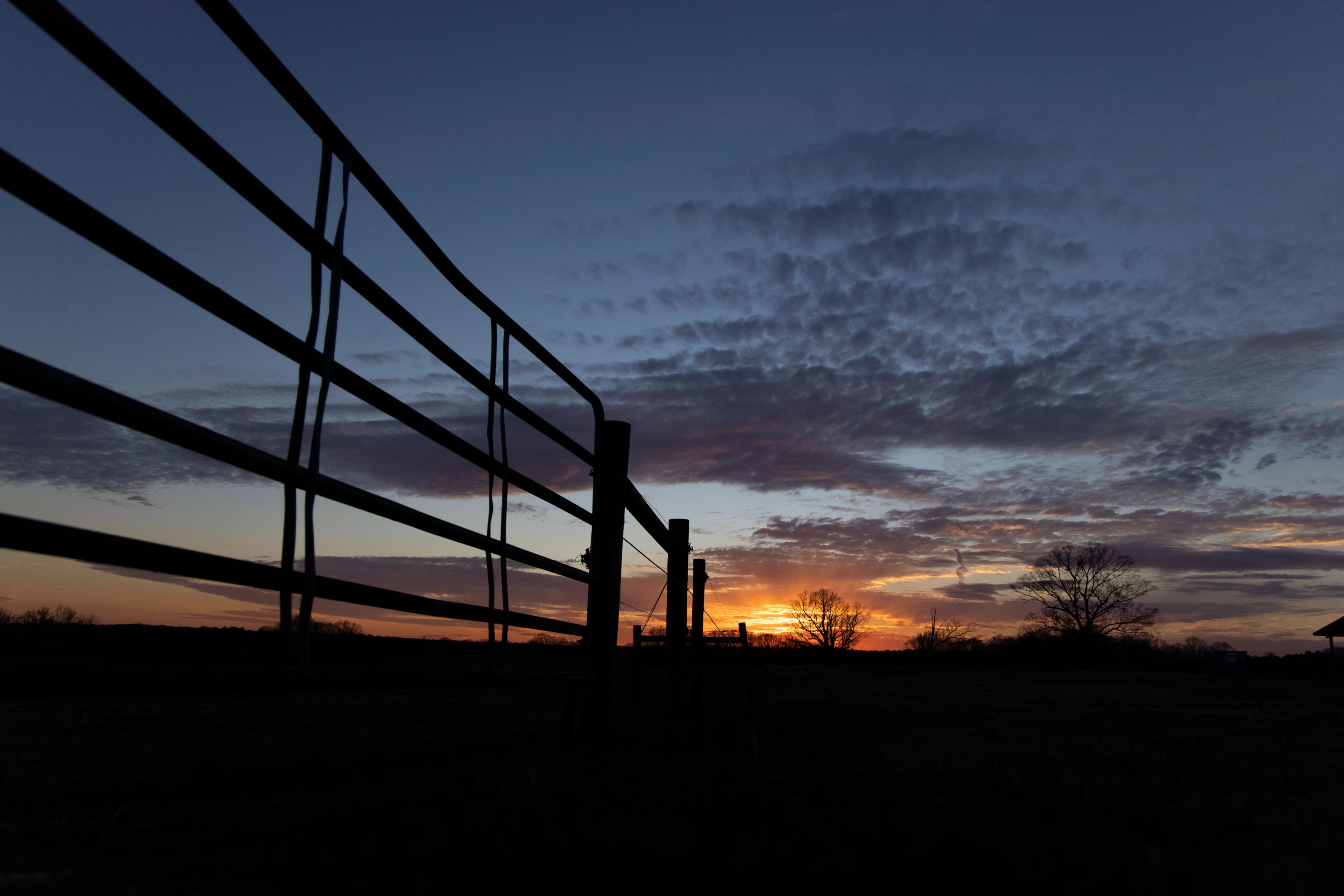 Sunset at UGA's Livestock Instructional Arena