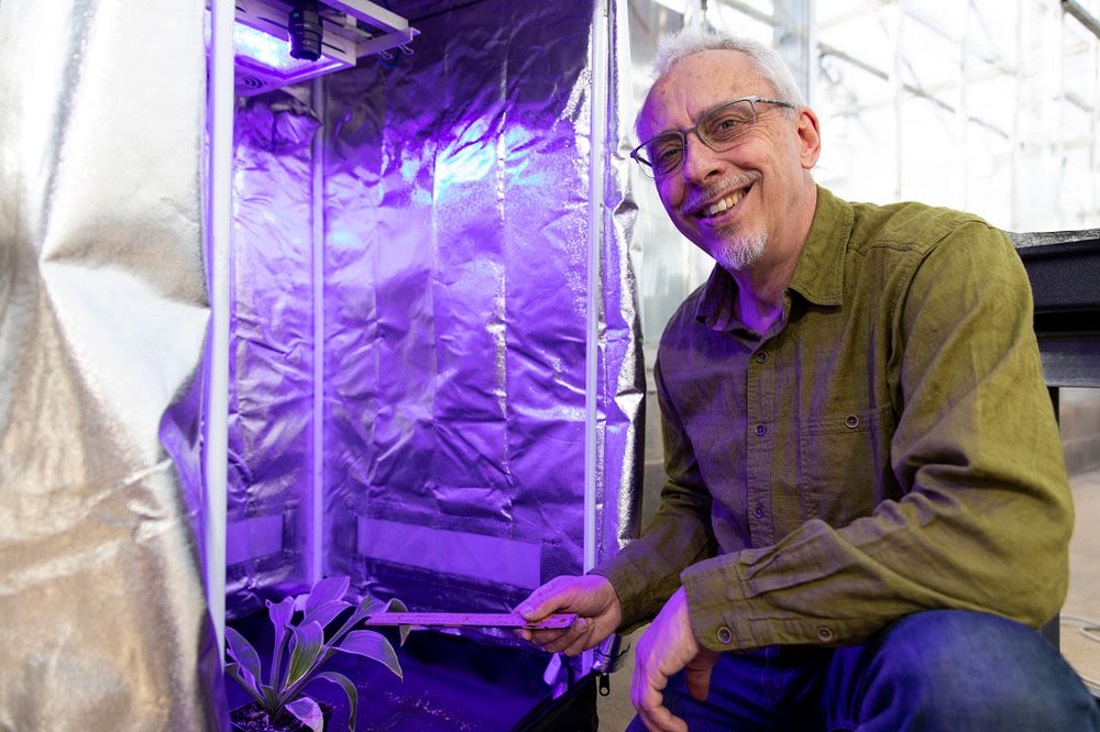 Environmental portrait of Professor Marc van Iersel in a grow room at his greenhouses.