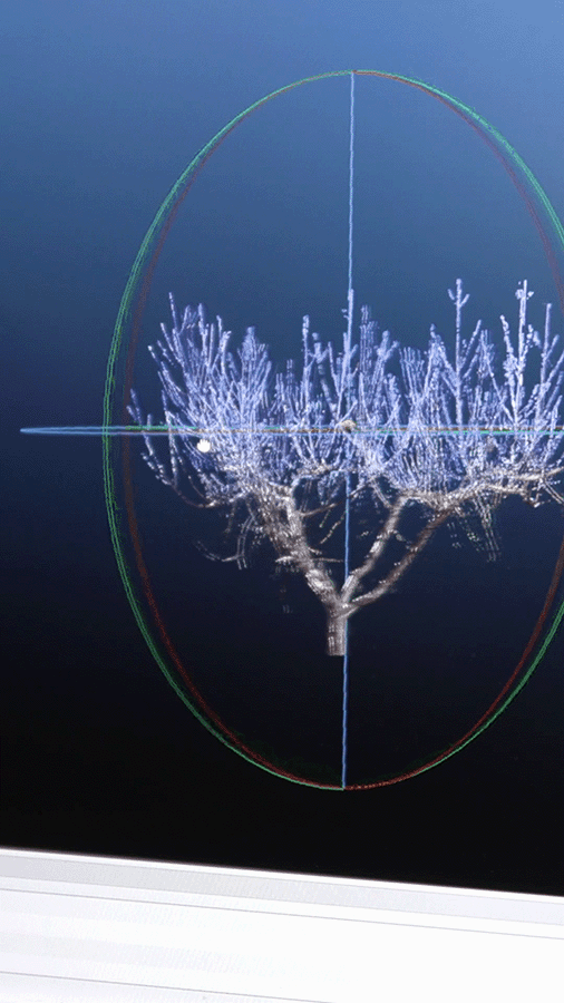 Animated GIF of a a screen showing a 3D model of a tree, zooming in and moving perspective to see details of a limb