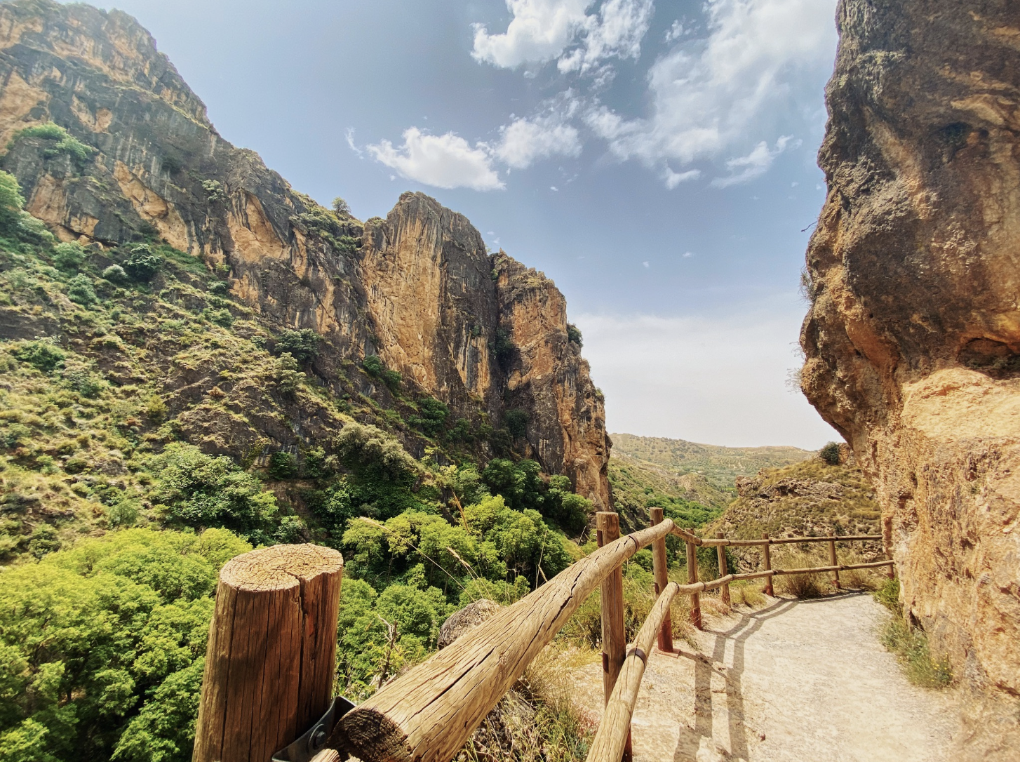 A path with wooden railings between rock cliffs, with low shrubbery in the foreground.