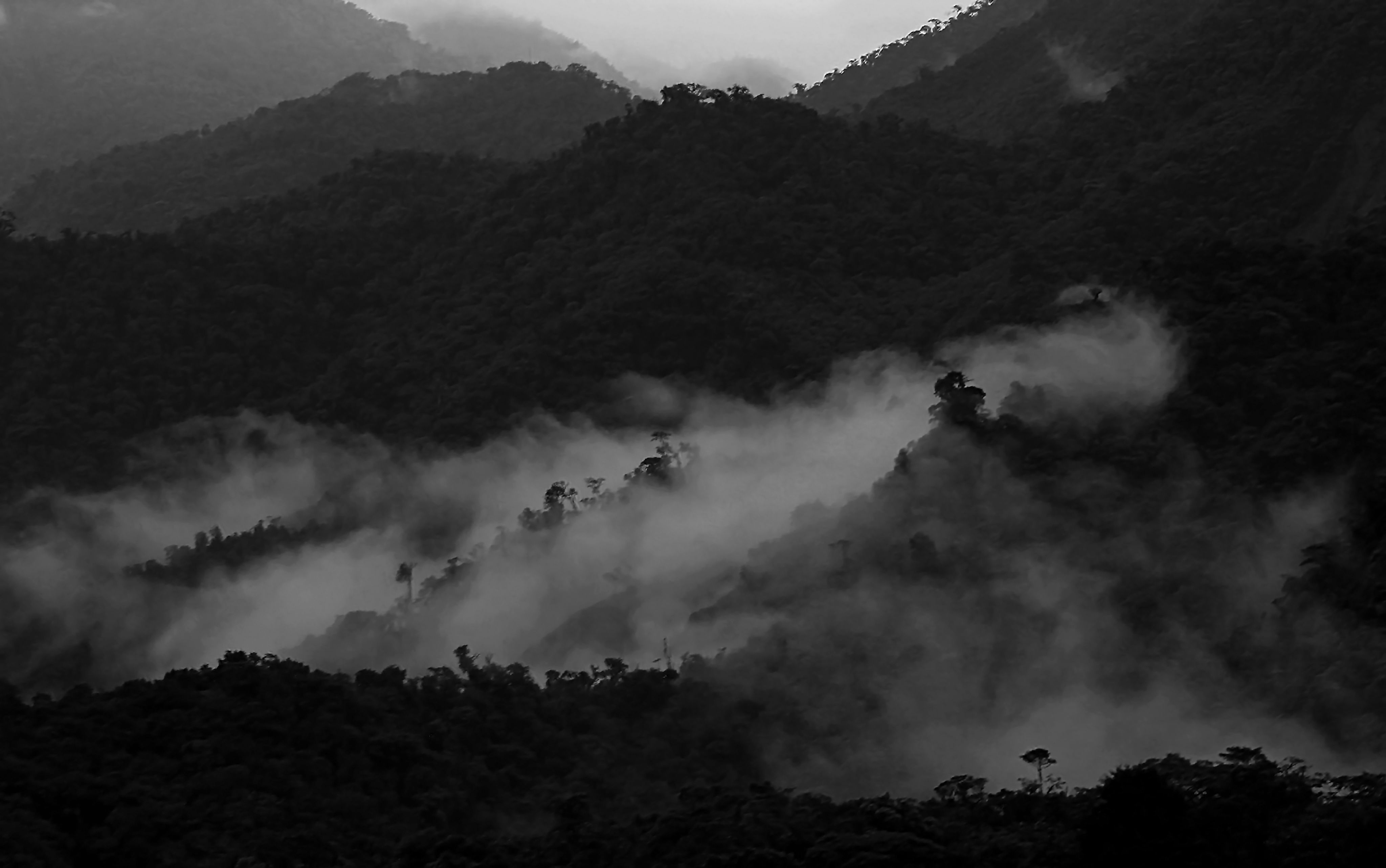 Layers of black and white cloudforest mountains in Ecuador, on the way down to the amazonas basin, South America, black and white blur image