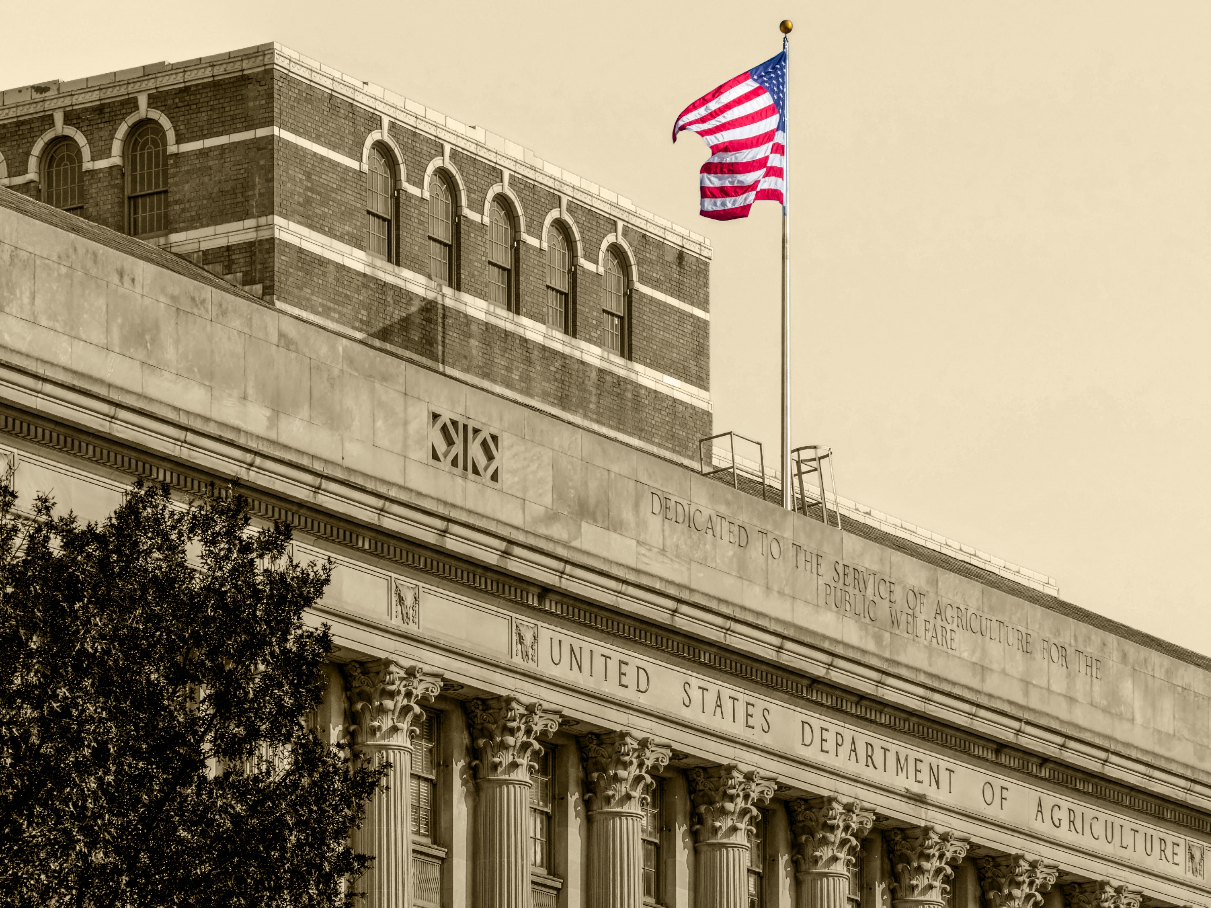 Detail of the facade at the United States Department of Agriculture, side on the 14th St SW, Washington DC, USDA Foreign Agricultural Service. Vintage processing.