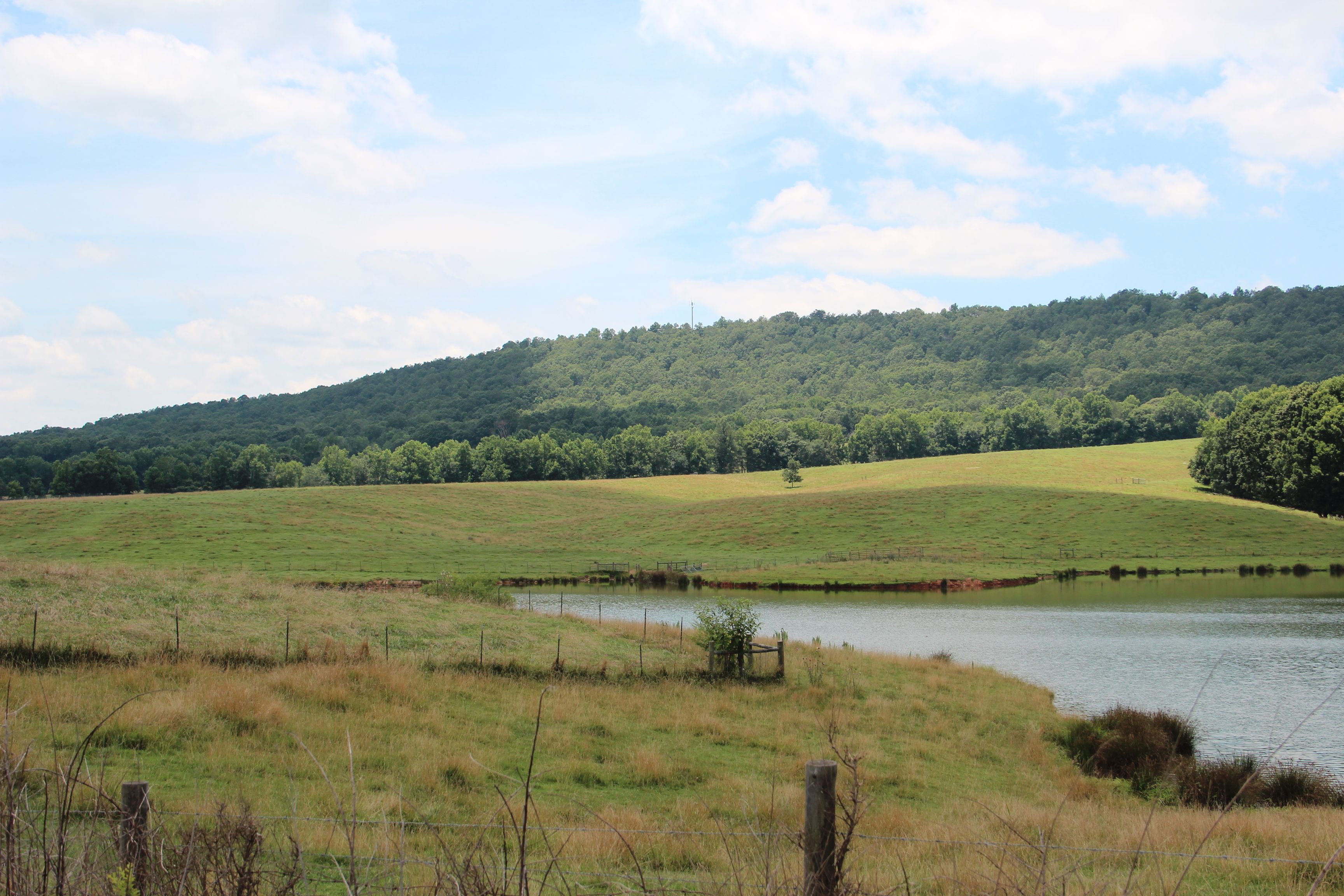 Blackjack Mountain in Carroll County, Georgia, on a partly cloudy day with a pond in the foreground