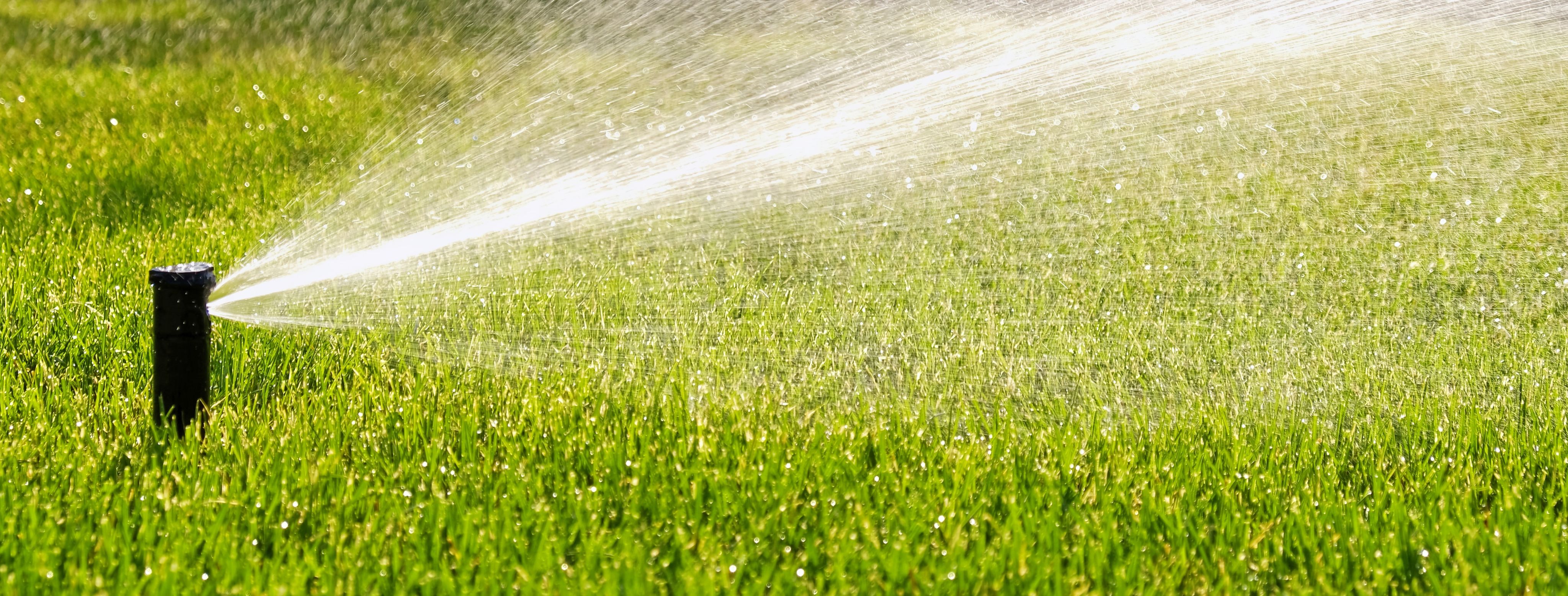 An automatic lawn sprinkler is spraying water out over green grass.