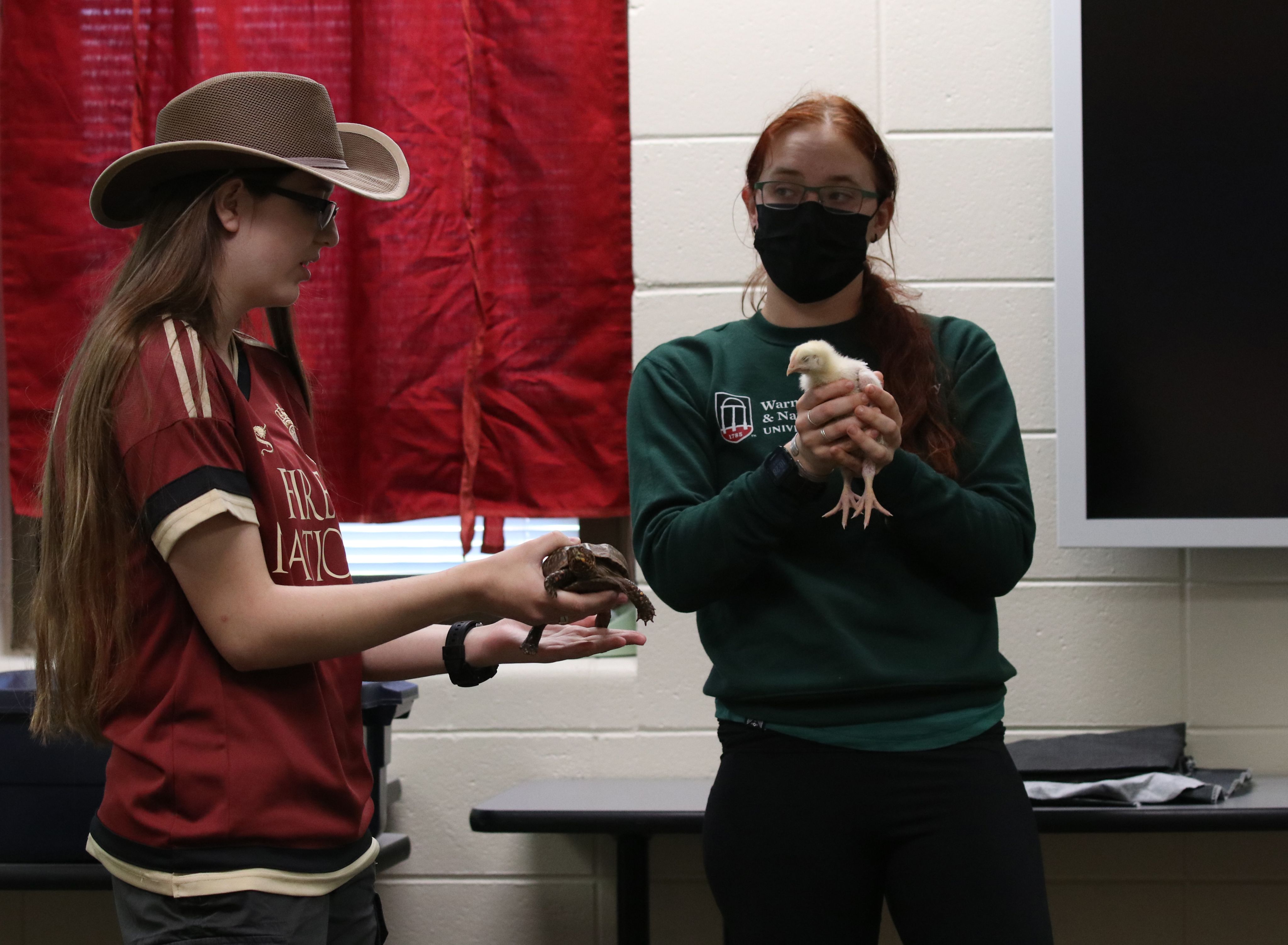 A close-up of two students using animals to give their presentations.